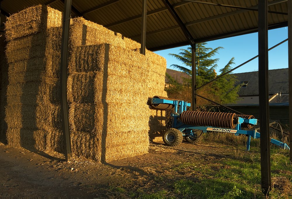 The Barn (Image David Bailey)